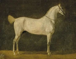 Discount Boutiques de musées Cheval de Napoléon "le Distingué" (toiles encadrées)