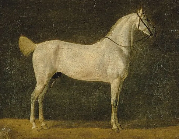 Discount Boutiques de musées Cheval de Napoléon "le Distingué" (toiles encadrées)