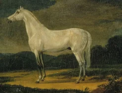 New Boutiques de musées Cheval de Napoléon "le Vizir" (panneaux aluminium)