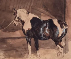 Boutiques de musées Panneaux Acryliques-Cheval pie au repos à l'écurie (panneaux acryliques)