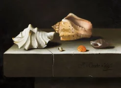 Boutiques de musées Panneaux Acryliques|Toiles Sur Châssis-Cinq coquillages sur une tablette de pierre (panneaux acryliques)