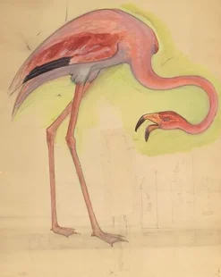 Boutiques de musées Comptoir d'Escompte : escalier d'honneur : flamant rose (toiles sur châssis)