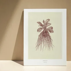 Boutiques de musées Décoration murale Herbier du roi A3 - Rouge - Maison Baluchon