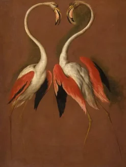 Boutiques de musées Affiches D'Art Encadrées|Toiles Sur Châssis-Deux flamants face à face (affiches d'art encadrées)