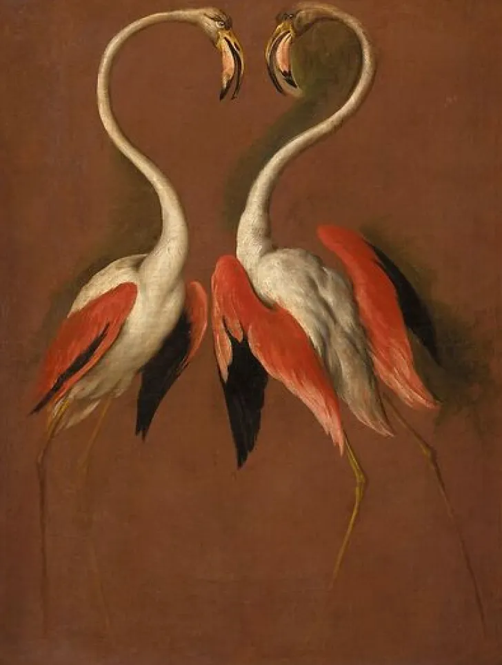 Clearance Boutiques de musées Deux flamants face à face (panneaux acryliques)