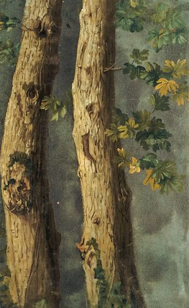 Discount Boutiques de musées Deux troncs d'arbres avec feuillages et branche de lierre (panneaux aluminium)