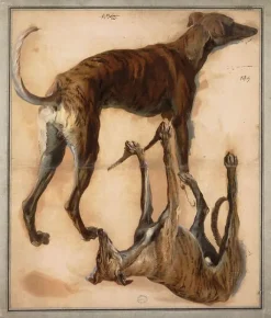 Boutiques de musées Panneaux Aluminium|Toiles Encadrées-Deux études inversées de lévriers (panneaux aluminium)