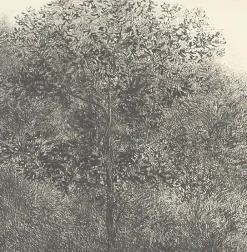 New Boutiques de musées Estampe Allant vers les roches noires - Bertrand Henry 2001