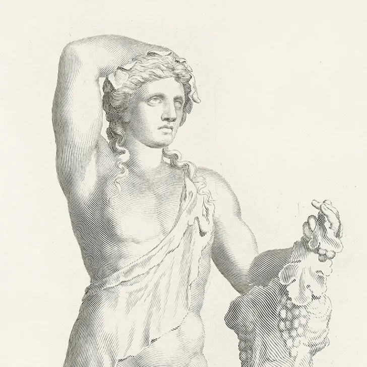 Boutiques de musées Dessins-Estampe Bacchus