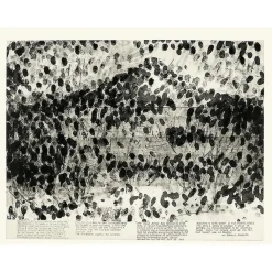 Boutiques de musées Créations Contemporaines-Estampe Blind Time V (Temps aveugle V) - Robert Morris