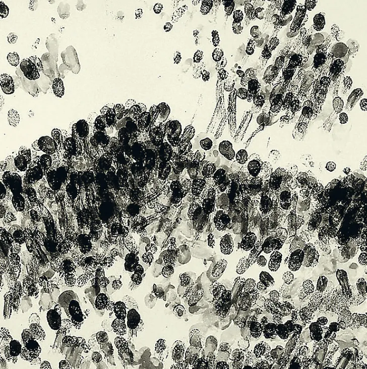 Clearance Boutiques de musées Estampe Blind Time VI, (Temps aveugle VI) - Robert Morris