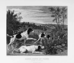 Best Boutiques de musées Estampe Bonne, Nonne et Ponne, chiennes de la meute de Louis XIV - François Desportes