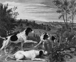 Best Boutiques de musées Estampe Bonne, Nonne et Ponne, chiennes de la meute de Louis XIV - François Desportes