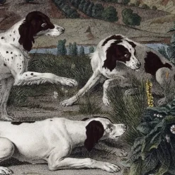 Best Boutiques de musées Estampe Bonne, Nonne et Ponne, chiennes de la meute de Louis XIV - François Desportes