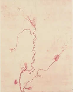 Boutiques de musées Créations Contemporaines-Estampe Celles qui disparaissent, Celles qui se créent (est) - Mireille Gros