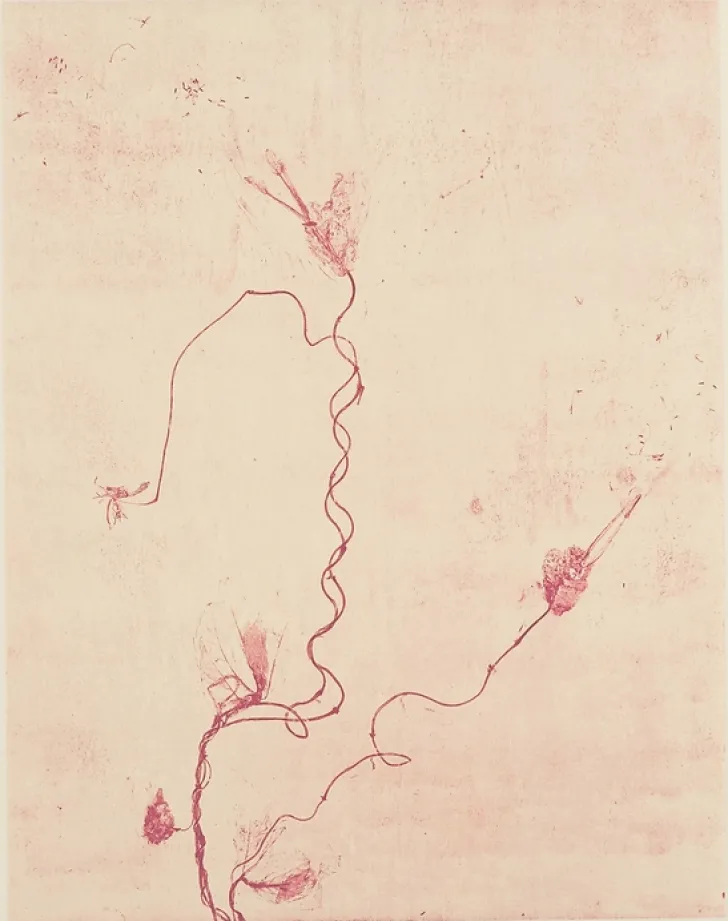 Boutiques de musées Créations Contemporaines-Estampe Celles qui disparaissent, Celles qui se créent (est) - Mireille Gros