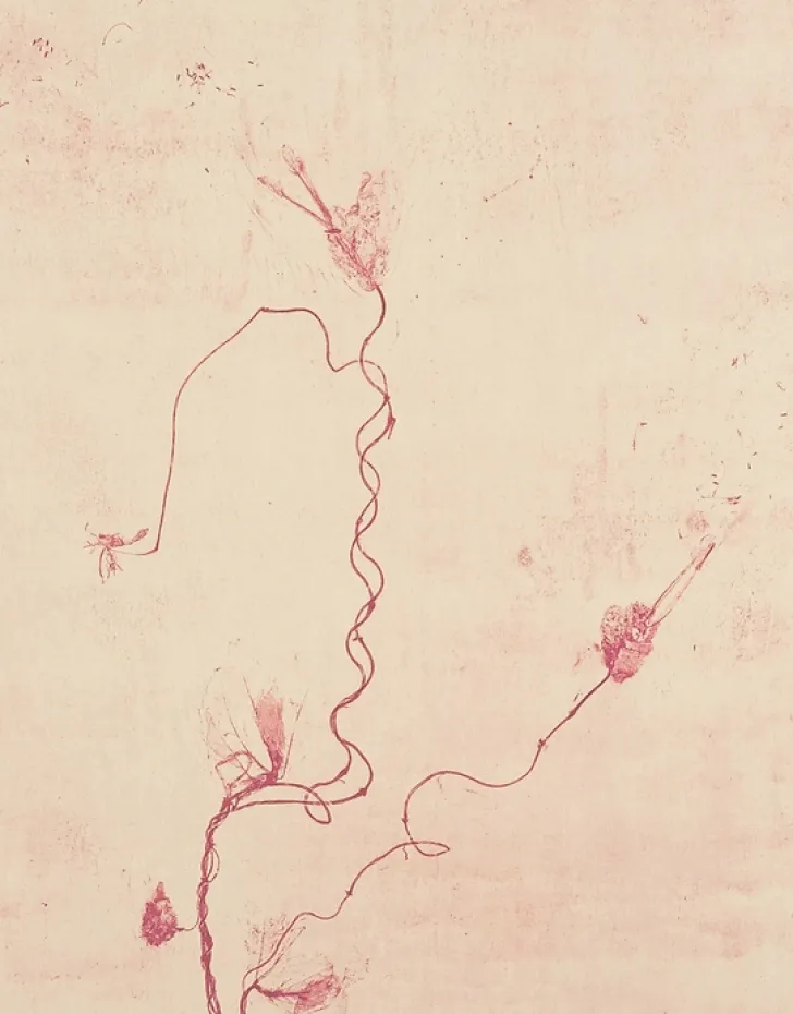 Boutiques de musées Créations Contemporaines-Estampe Celles qui disparaissent, Celles qui se créent (est) - Mireille Gros