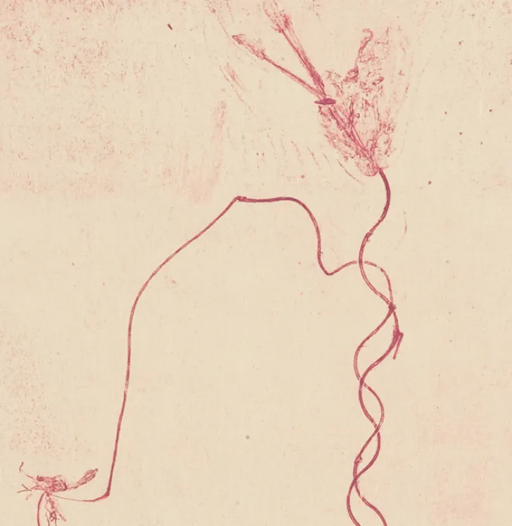 Boutiques de musées Créations Contemporaines-Estampe Celles qui disparaissent, Celles qui se créent (est) - Mireille Gros