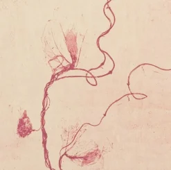 Boutiques de musées Créations Contemporaines-Estampe Celles qui disparaissent, Celles qui se créent (est) - Mireille Gros