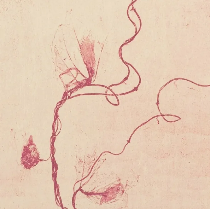 Boutiques de musées Créations Contemporaines-Estampe Celles qui disparaissent, Celles qui se créent (est) - Mireille Gros