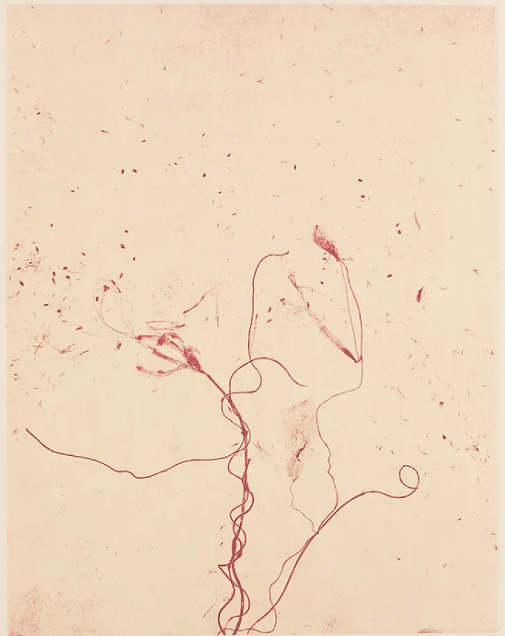 New Boutiques de musées Estampe Celles qui disparaissent, Celles qui se créent (ouest) - Mireille Gros