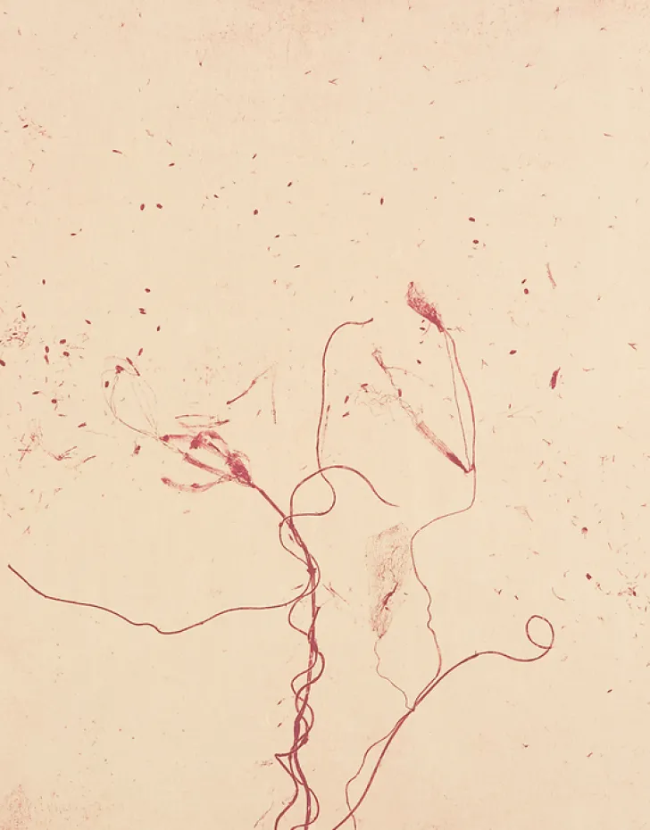 New Boutiques de musées Estampe Celles qui disparaissent, Celles qui se créent (ouest) - Mireille Gros