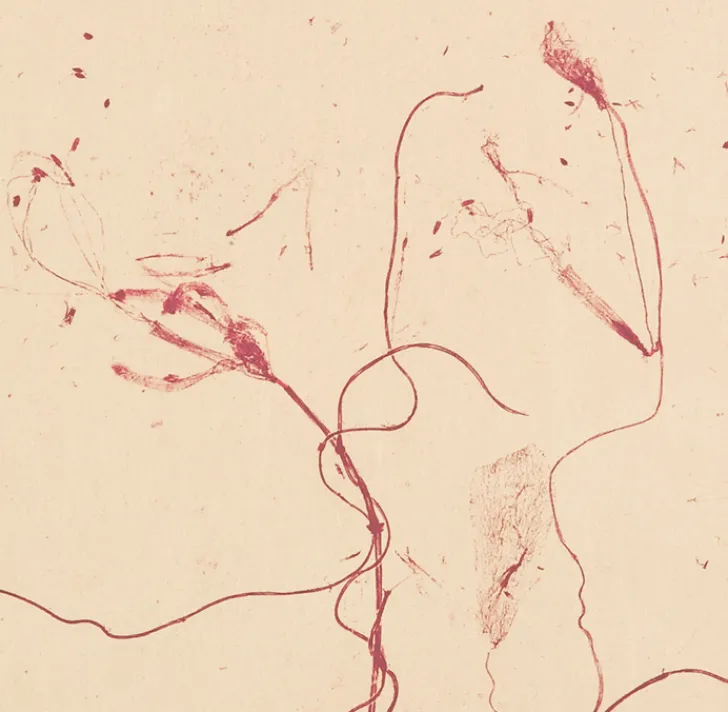 New Boutiques de musées Estampe Celles qui disparaissent, Celles qui se créent (ouest) - Mireille Gros