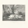 Discount Boutiques de musées Estampe Écho et Narcisse ou la mort de Narcisse - Nicolas Poussin