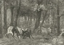 Boutiques de musées Chefs D'Œuvre Des Musées-Estampe Combat de cerfs - Gustave Courbet