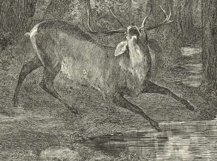 Boutiques de musées Chefs D'Œuvre Des Musées-Estampe Combat de cerfs - Gustave Courbet