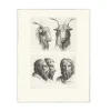 Boutiques de musées Dessins-Estampe Deux têtes de bouc