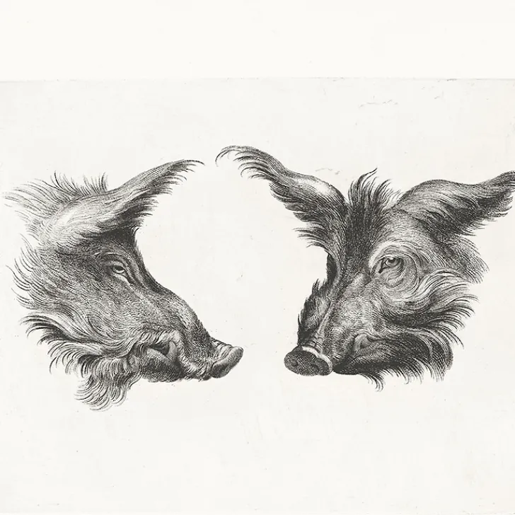 Boutiques de musées Dessins-Estampe Deux têtes de sanglier et deux têtes d'hommes