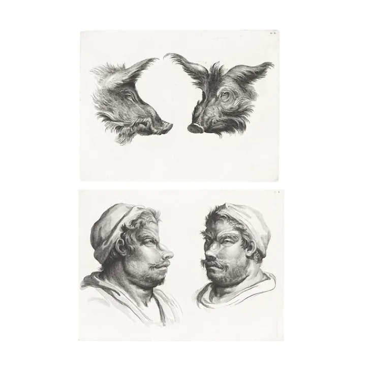 Boutiques de musées Dessins-Estampe Deux têtes de sanglier et deux têtes d'hommes