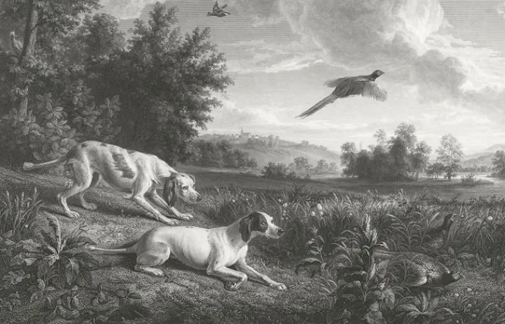 Boutiques de musées Chefs D'Œuvre Des Musées-Estampe Diane et Blonde, chiennes de Louis XIV, chassant le faisan - François Desportes