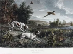 Boutiques de musées Chefs D'Œuvre Des Musées-Estampe Diane et Blonde, chiennes de Louis XIV, chassant le faisan - François Desportes