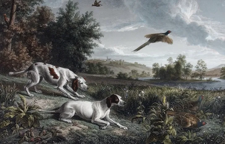 Boutiques de musées Chefs D'Œuvre Des Musées-Estampe Diane et Blonde, chiennes de Louis XIV, chassant le faisan - François Desportes