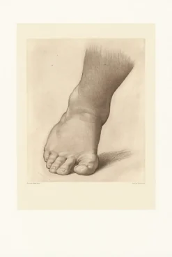 Hot Boutiques de musées Estampe Etude pour le pied droit du Saint Jean Baptiste dans le désert - Raphaël