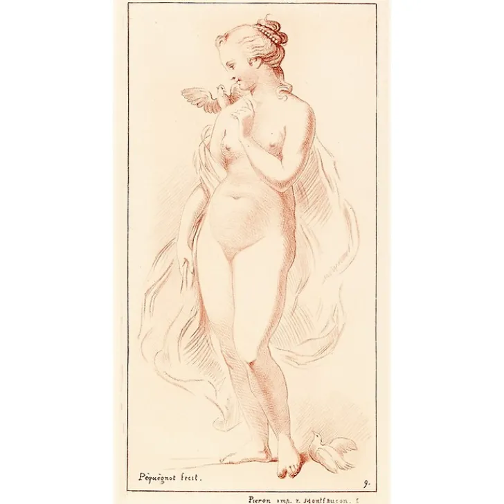 Hot Boutiques de musées Estampe Femme nue debout ayant une colombe sur l'épaule