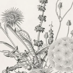 Boutiques de musées Estampe Fleurs des champs dans un verre (automne) - Hasegawa