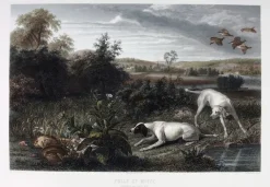 Boutiques de musées Chefs D'Œuvre Des Musées-Estampe Folle et Mitte, chiennes de Louis XIV, à l'arrêt devant deux faisans - François Desportes