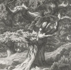 Best Boutiques de musées Estampe Forêt de Fontainebleau : le Charlemagne et le Roland - Eugène Bléry