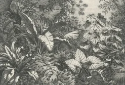 Boutiques de musées Nature, Fleurs Et Paysages-Estampe Groupe de plantes exotiques