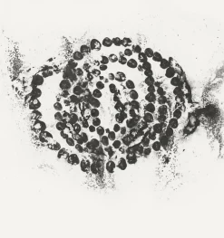 Boutiques de musées Créations Contemporaines-Estampe La rose du Louvre - Jean-Michel Othoniel