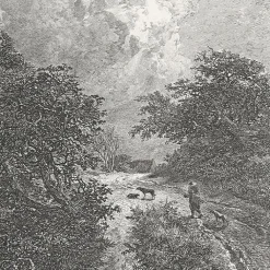 Boutiques de musées Nature, Fleurs Et Paysages|Chefs D'Œuvre Des Musées-Estampe Le buisson - Van Ruisdael