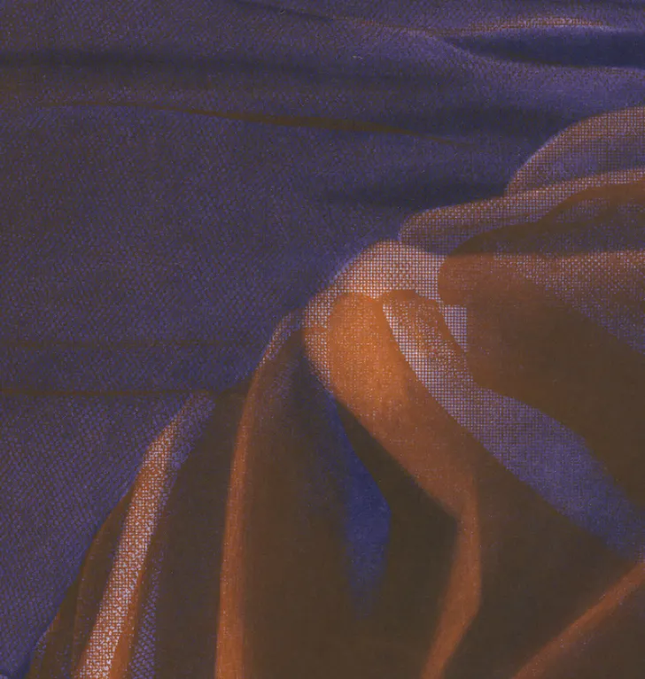 New Boutiques de musées Estampe Le corsage - Rosanna Lefeuvre