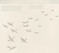 Boutiques de musées Chefs D'Œuvre Des Musées-Estampe Le Vol de canards (Grande Brière) - Jean-Emile Laboureur