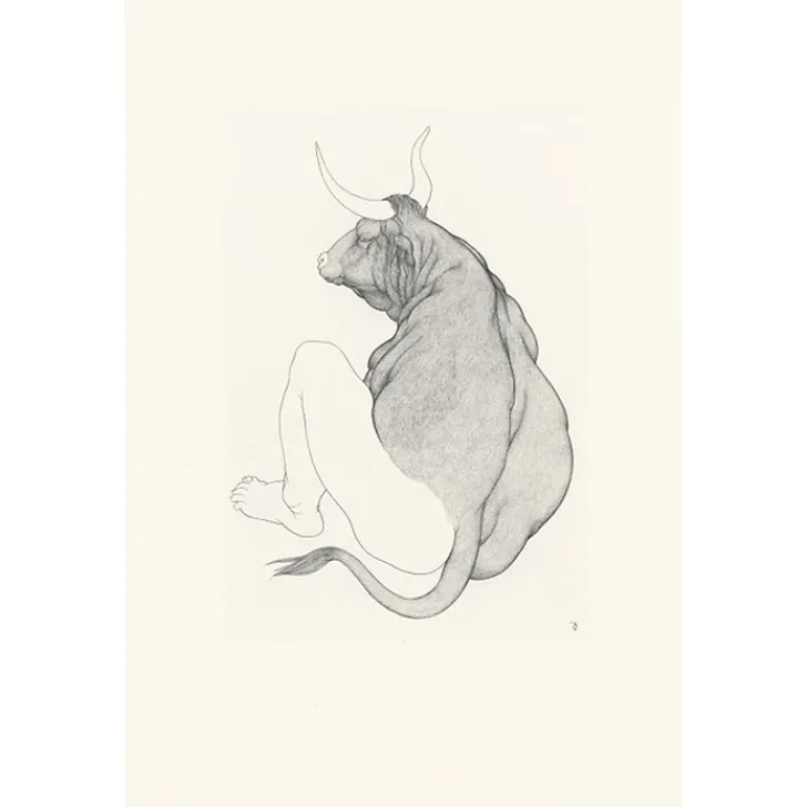 Boutiques de musées Art Moderne-Estampe Les métamorphoses d'Ovide - Cécile Reims