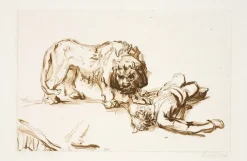 Boutiques de musées Dessins-Estampe Lion s'approchant d'un cadavre - Rembrandt