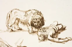 Boutiques de musées Dessins-Estampe Lion s'approchant d'un cadavre - Rembrandt