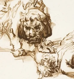 Boutiques de musées Dessins-Estampe Lion s'approchant d'un cadavre - Rembrandt